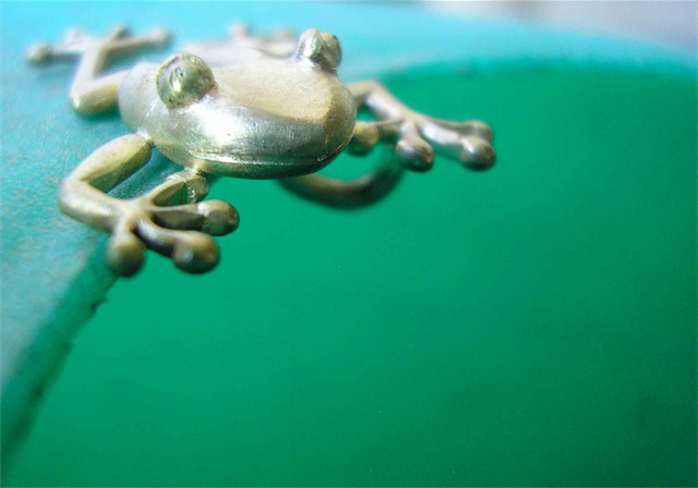 Frog-2.jpg